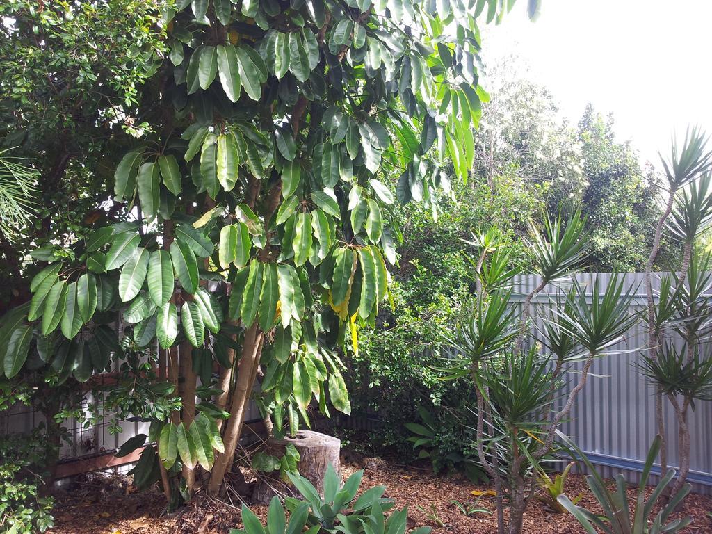 Bluegrass Bnb Bundaberg Eksteriør billede